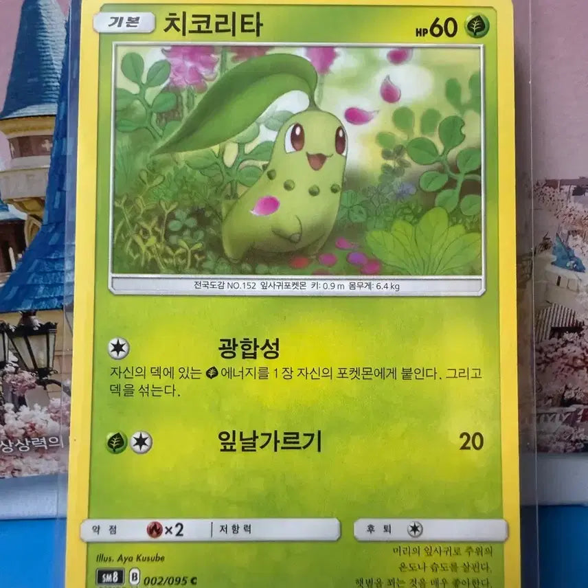 [BUNJANG] Pokemon Card Chikorita 2018 Album Version / 포켓몬카드 2018 치코리타 앨범용