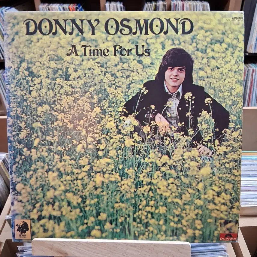 [BUNJANG] Donny Osmond A Time For Us LP / 희귀 소장가치 도니 오스몬드  LP