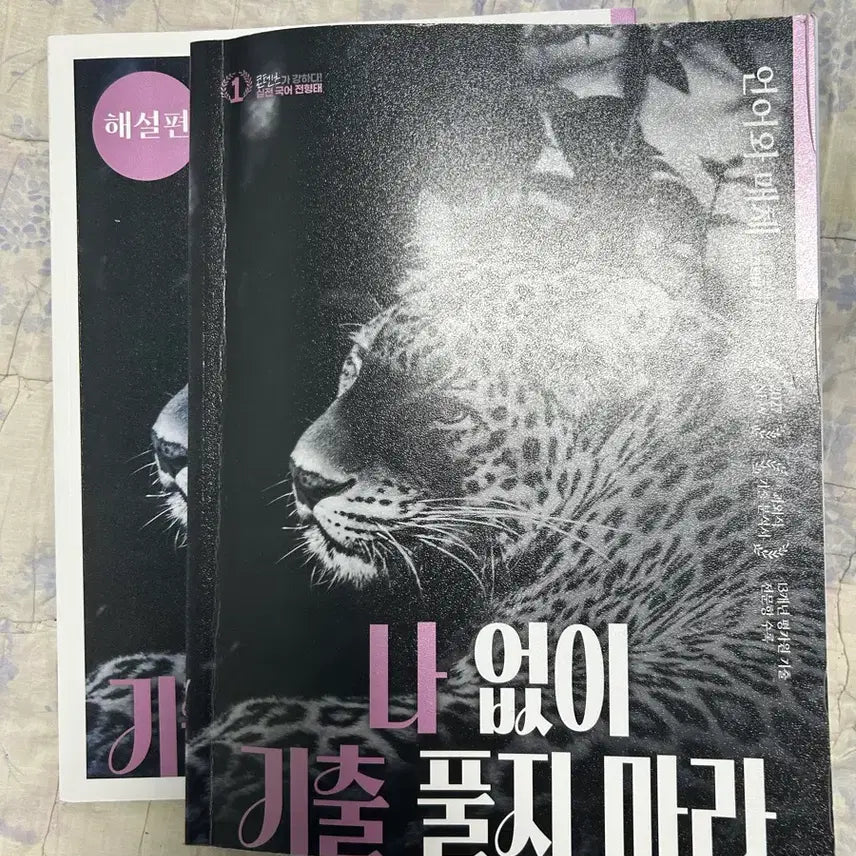 [BUNJANG] 2027 Nagichul Korean Language and Literature Study Book / 2027 전형태 나기출 언매