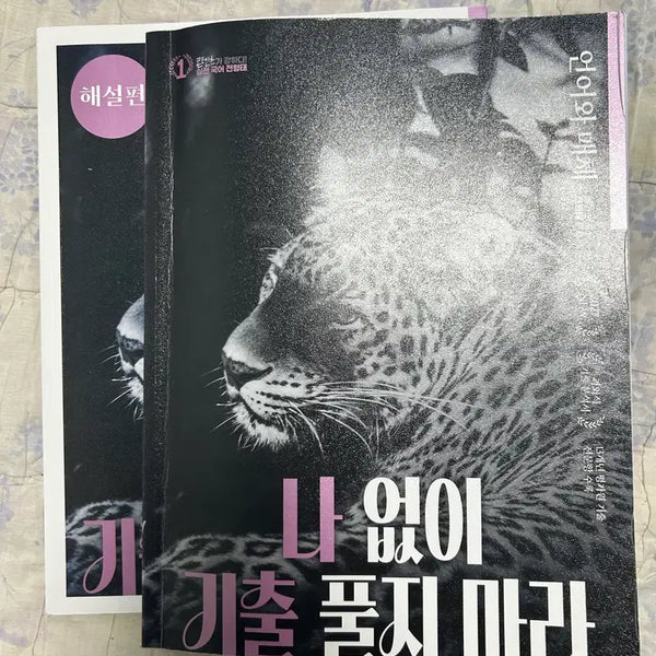 [BUNJANG] 2027 Nagichul Korean Language and Literature Study Book / 2027 전형태 나기출 언매