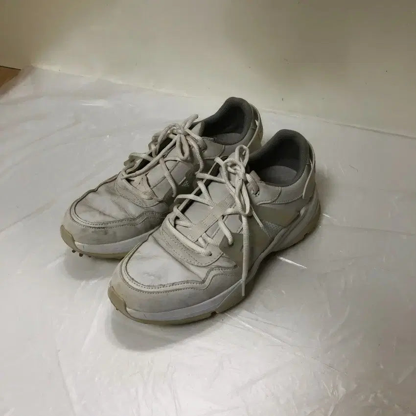 [BUNJANG] FootJoy Golf Shoes 255mm / 풋조이 골프화 255MM@9982