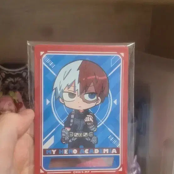 [BUNJANG] My Hero Academia Todoroki Card / 나의 히어로 아카데미아 토도로키 카드