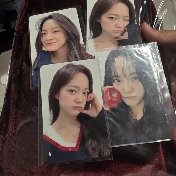 [BUNJANG] Kim Sejeong 2023 Season's Greetings Sealed + Season's Greetings Photocards Set (4 types, Bundle) / 김세정 시그 미개봉+ 시그포카 4종 일괄 판매합니다(반택포)