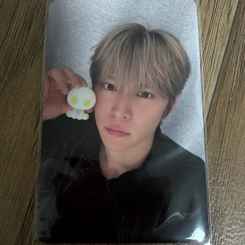 [BUNJANG] RIIZE DYD Figure Album Photocard Eunseok / 라이즈 DYD 피규어 앨범 포카 은석