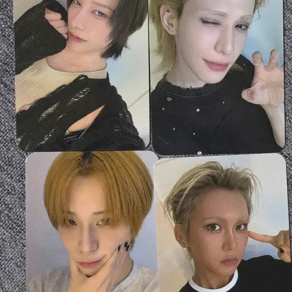 [BUNJANG] XLOV POB Set / XLOV 미공포 세트