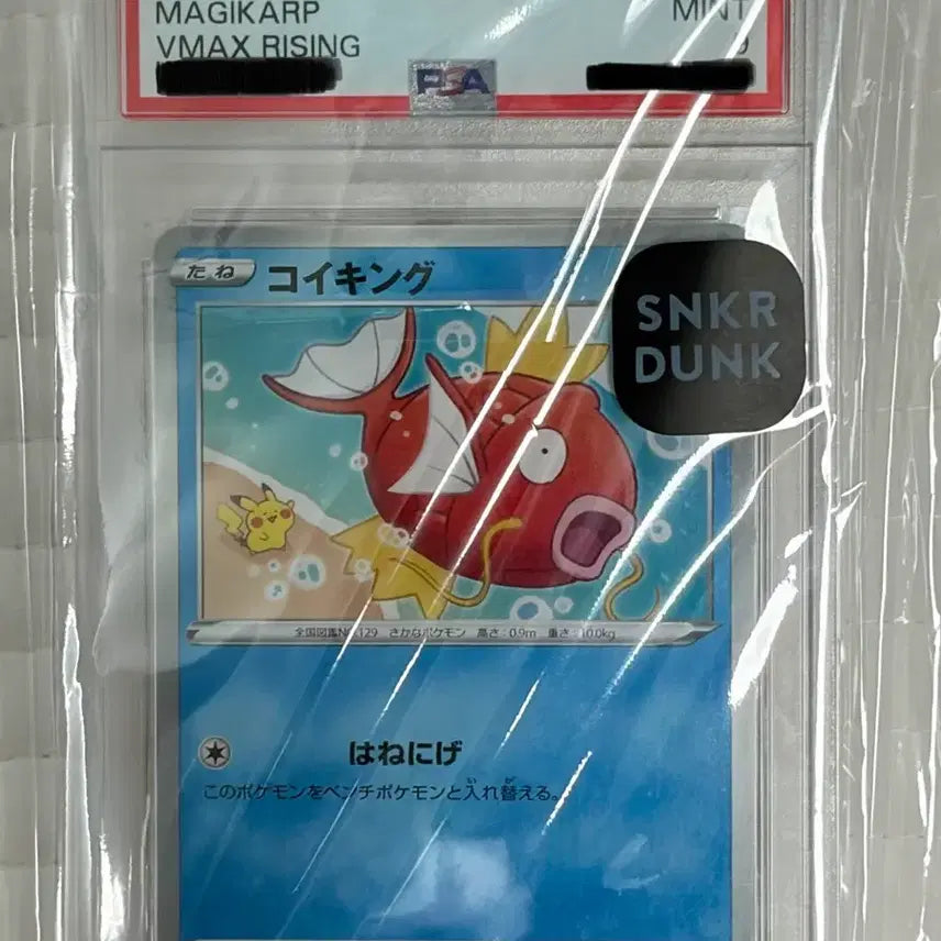 [BUNJANG] Pokemon Card Magikarp VMAX RISING Kanahei Illustration PSA 9 Japanese / 포켓몬카드 카나헤이 잉어킹 psa9 일판