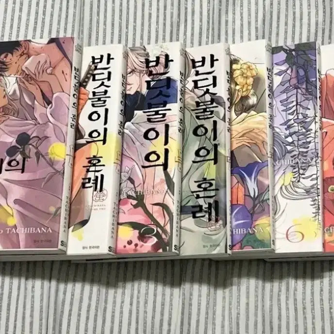 [BUNJANG] Firefly's Wedding Vol. 1-8 Bundle Set / (특전o)반딧불이의 혼례 1~8권 일괄