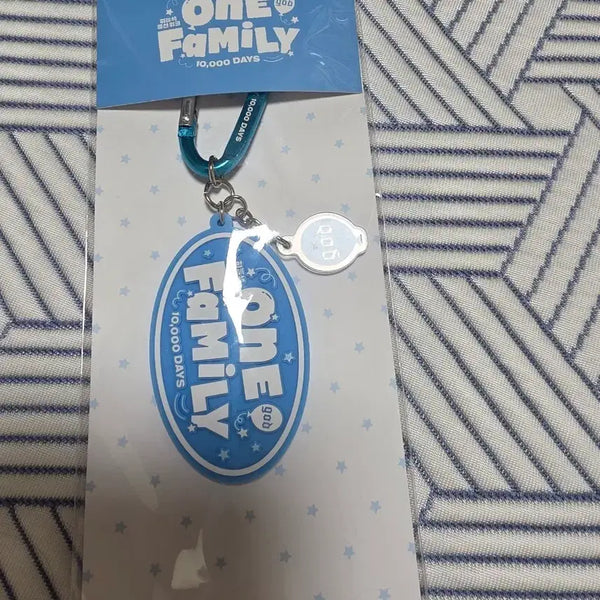 [BUNJANG] godONE FAMILY 10000 DAYS Carabiner Keychain / godONE FAMILY 10000 DAYS 키링
