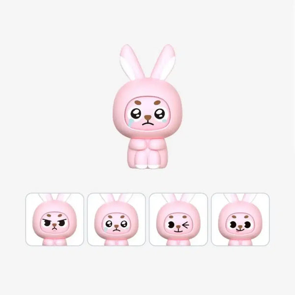 [BUNJANG] DAY6 DAY6 Denimals PEELED FACE CHANGE Figure Wonpil Sealed / 데니멀즈 필 페이스 체인지 피규어 원필 미개봉