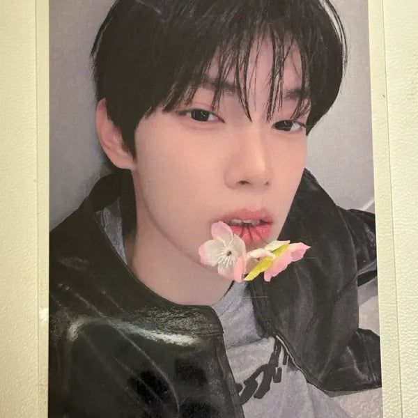 [BUNJANG] Hello82 FlareU Choi Lipu Photocard / 헬로82 플레어유 최립우 미공포 양도 포카
