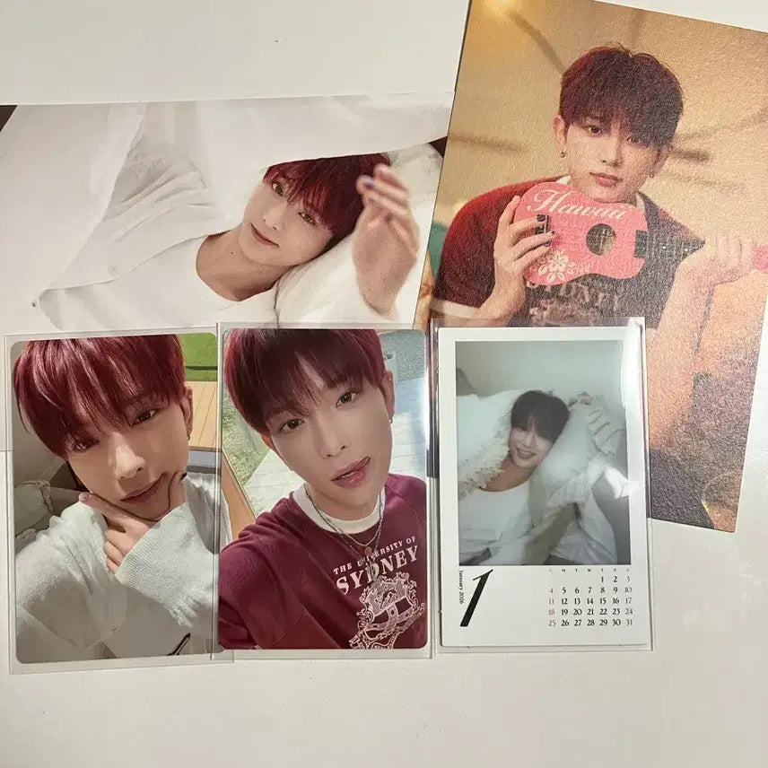 [BUNJANG]  &TEAM Harua 2026 Season's Greetings Photocard Postcard Split Set / 앤팀 하루아 2026 시즌그리팅 분철 포카 엽서
