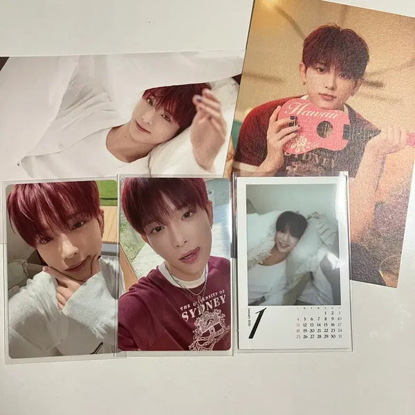 [BUNJANG]  &TEAM Harua 2026 Season's Greetings Photocard Postcard Split Set / 앤팀 하루아 2026 시즌그리팅 분철 포카 엽서