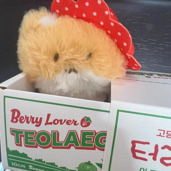 [BUNJANG] Baekhyun Strawberry Plush / 백현 딸기터래기 양도