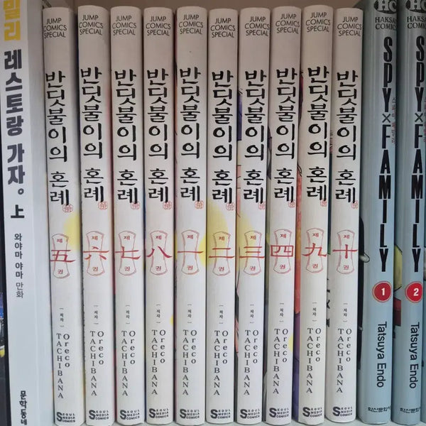 [BUNJANG] Firefly's Wedding Manga Volume 1-10 Bundle Set / 급처)반딧불이의 혼례 만화책 1-10권, 특전 일괄