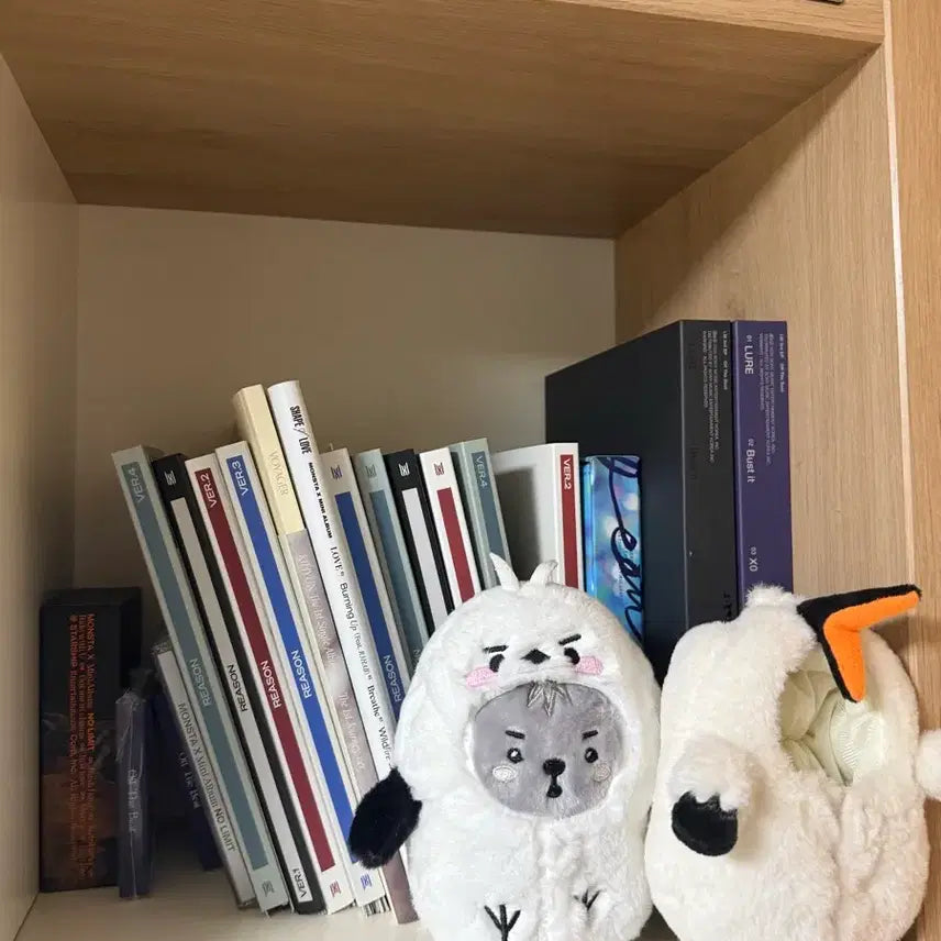 [BUNJANG] Monsta X Album & Merchandise Bundle Set / 몬스타엑스 굿즈 급처 (포카 포함