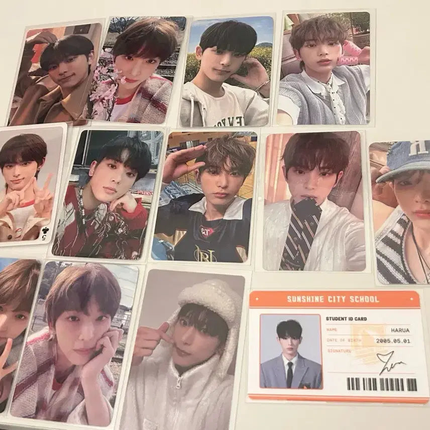 [BUNJANG] &team Harua Bundle Set Photocard / &team 앤팀 하루아 포카 일괄