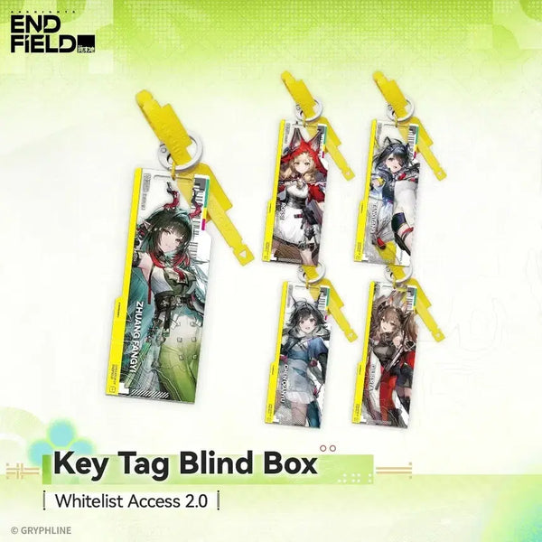 [BUNJANG] Arknights Endfield White List Permit 2.0 Set / 명일방주 엔드필드 아크릴 장식 화이트리스트 허가증 2.0 세트