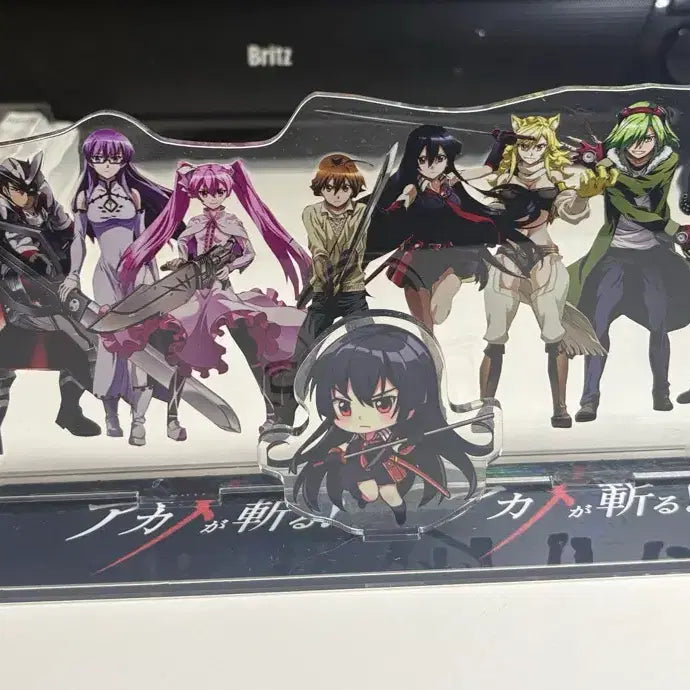 [BUNJANG] Akame ga Kill Large Acrylic Stand / 아카메가벤다 대형 아크릴스탠드