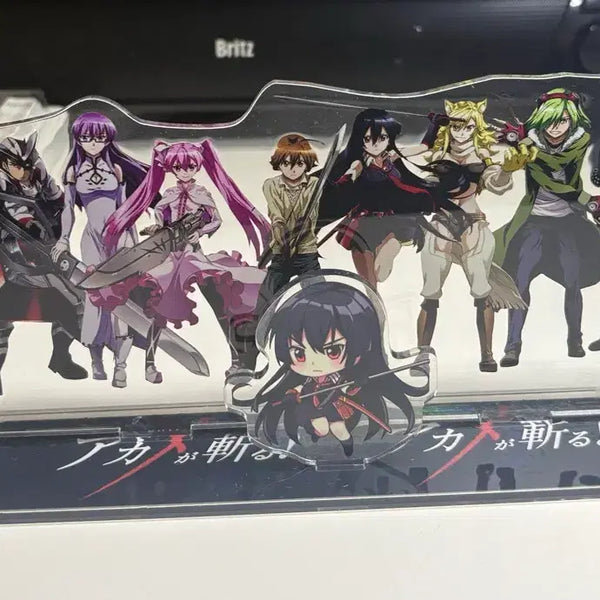 [BUNJANG] Akame ga Kill Large Acrylic Stand / 아카메가벤다 대형 아크릴스탠드