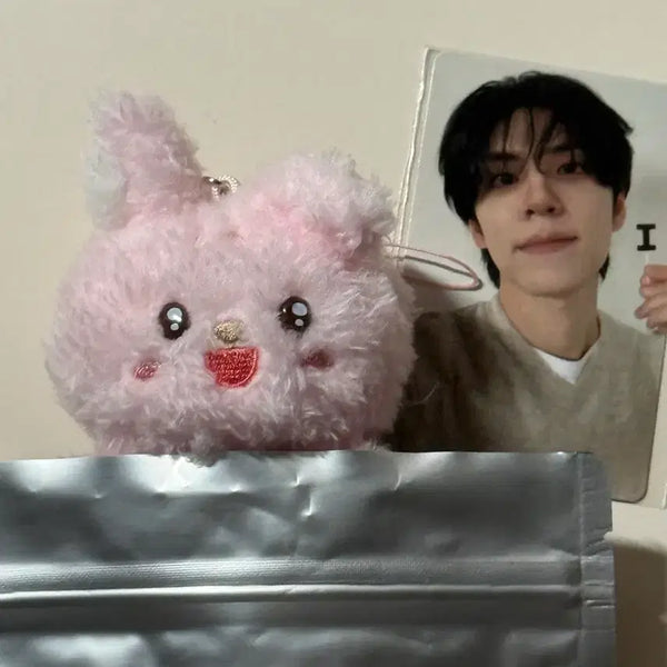 [BUNJANG] DAY6 Wonpil Concert MD Photocard / 원필 콘서트 엠디 시크릿 필끼+온라인 포카