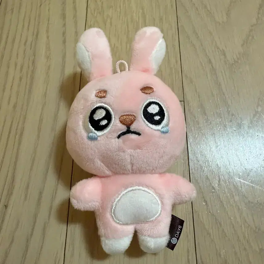 [BUNJANG] DAY6 Wonpil Ppoengpil Photocard / 원필 뿌엥필
