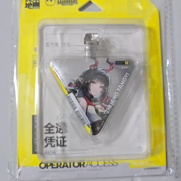 [BUNJANG] Arknights Endfield Glitter Badge / 장방이 글리터 배지 명일방주 엔드필드 뱃지