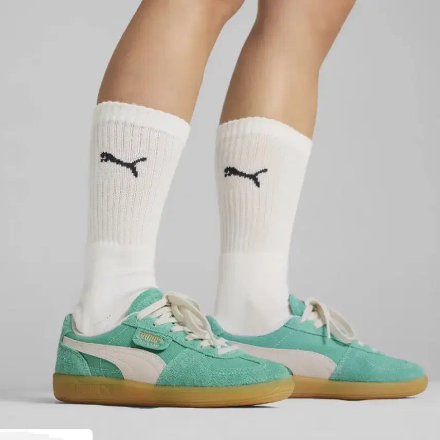[BUNJANG] Puma Palermo Suede Sneakers (240) / 푸마 팔레르모 스니커즈 240