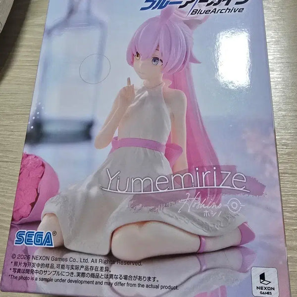 [BUNJANG] Sega Blue Archive Hoshino Figure / 세가 블루아카이브 호시노 피규어
