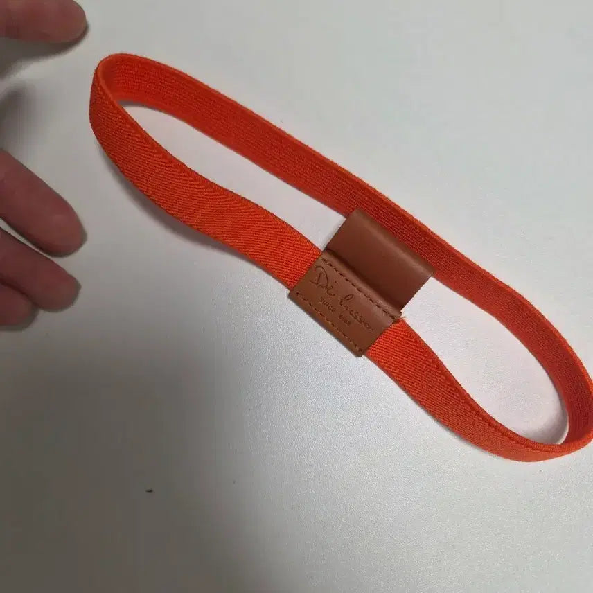 [BUNJANG] Diary Band with Pen Holder / 다이어리 밴드