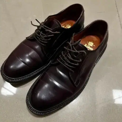 [BUNJANG] Alden 990 Cordovan Shoes (260) / 알든 990 7d