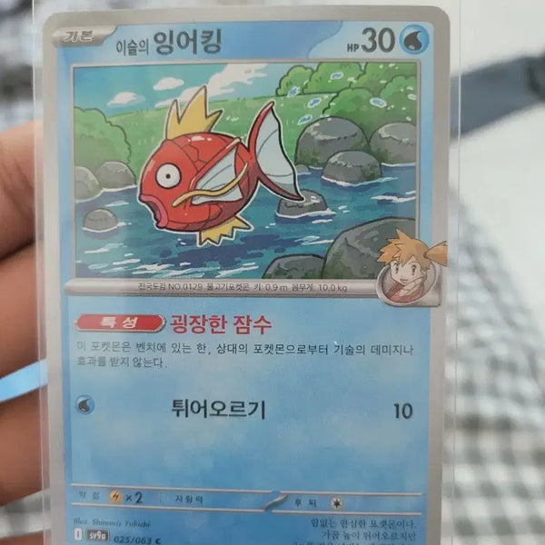 [BUNJANG] Magikarp Pokemon Card / 포켓몬카드 잉어킹