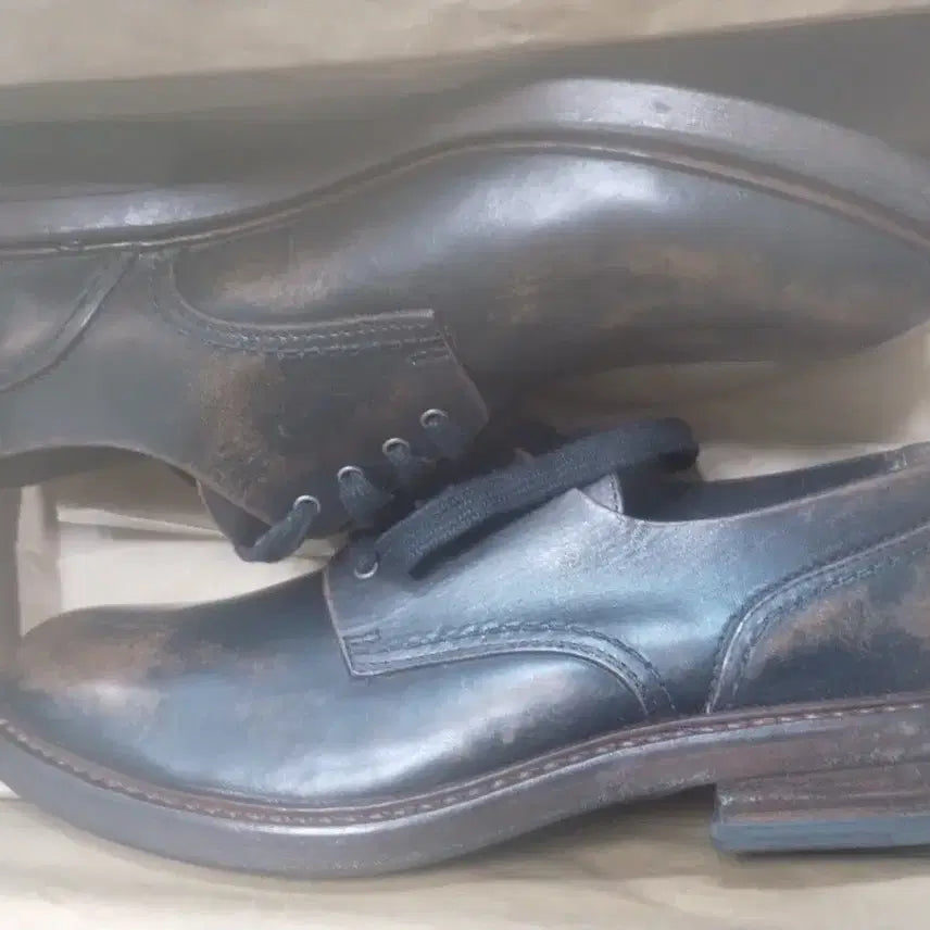 [BUNJANG] Buttero Leather Shoes / 부테로 구두