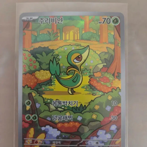 [BUNJANG] Jurivian AR Card / 주리비얀 ar