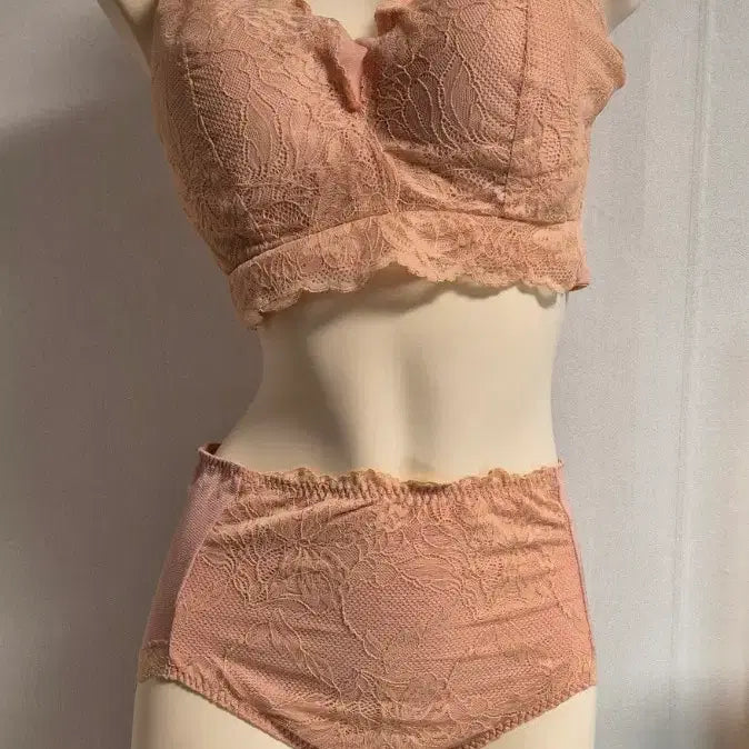 [BUNJANG] Plus Size Mesh & Lace Bra Panty Set / 여름용 빅사이즈 매쉬 여성 브라 팬티 레이스 105 선택1