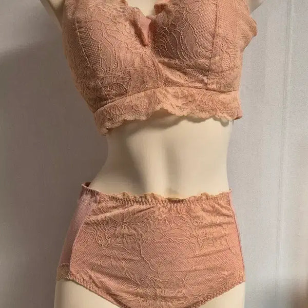 [BUNJANG] Plus Size Mesh & Lace Bra Panty Set / 여름용 빅사이즈 매쉬 여성 브라 팬티 레이스 105 선택1