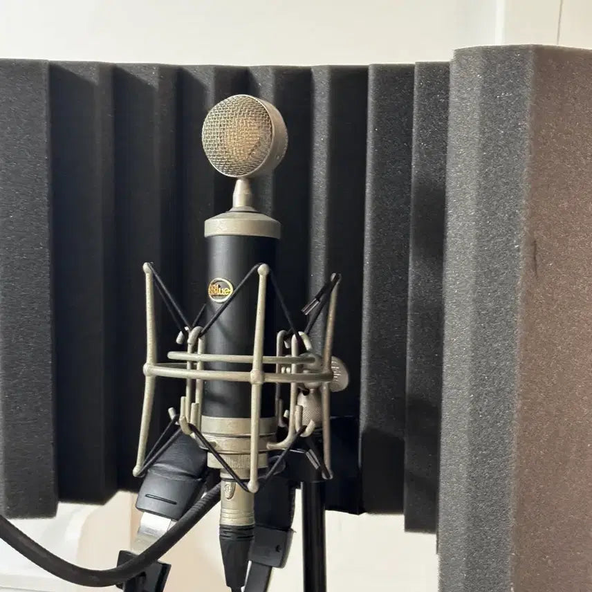 [BUNJANG] Blue Baby Bottle 1st Gen Microphone Set / 블루 베이비보틀 1세대
