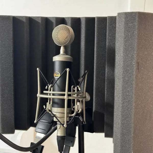 [BUNJANG] Blue Baby Bottle 1st Gen Microphone Set / 블루 베이비보틀 1세대