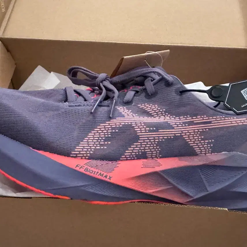 [BUNJANG] Asics NovaBlast 5 Running Shoes / 아식스 노바블라스트 5 280