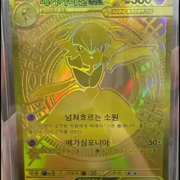 [BUNJANG] Rayquaza VMAX Rainbow Rare Card / 레시라무 bwr 교환으로 구함