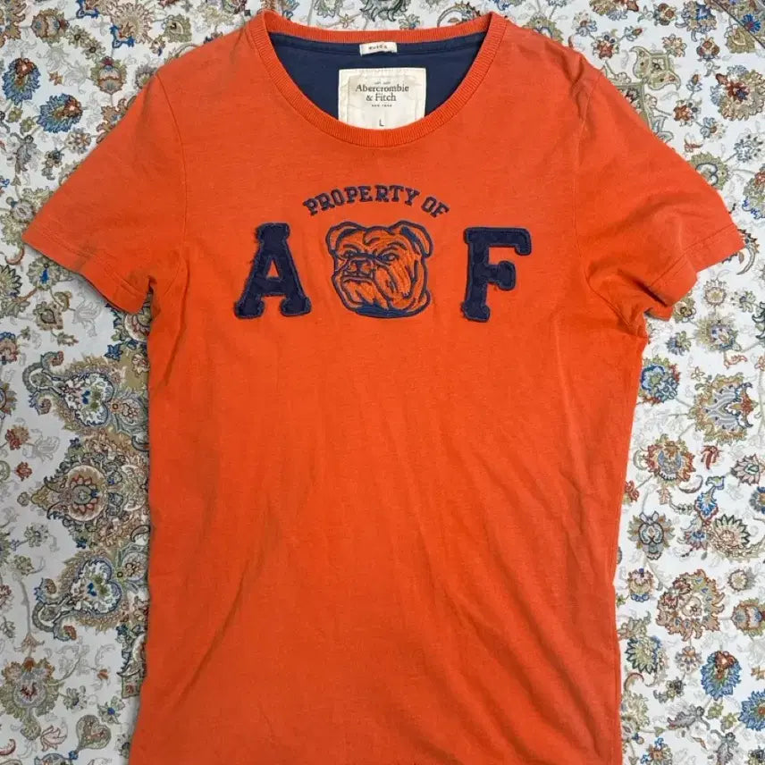 [BUNJANG] Abercrombie & Fitch Short Sleeve T-Shirt / 아베크롬비 반팔