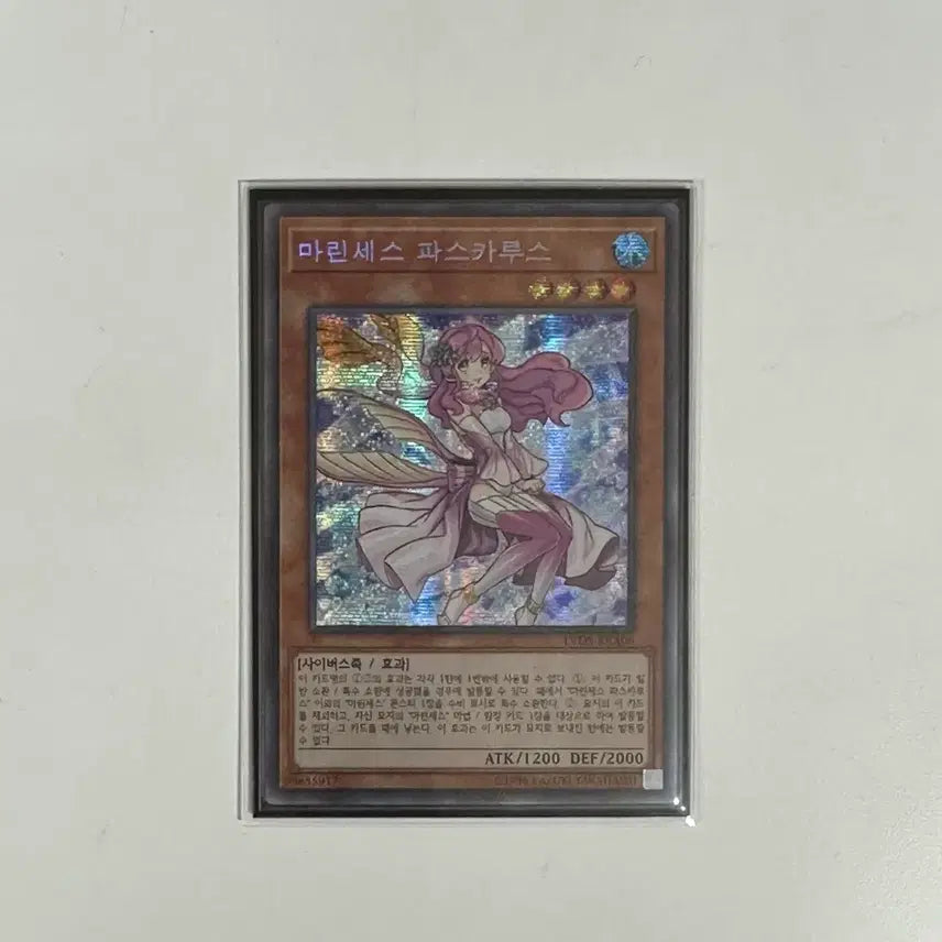 [BUNJANG] Yu-Gi-Oh! Marincess Pascalus Secret Rare / 유희왕 마린세스 파스카루스 구공정 시크릿 레어