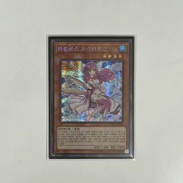 [BUNJANG] Yu-Gi-Oh! Marincess Pascalus Secret Rare / 유희왕 마린세스 파스카루스 구공정 시크릿 레어