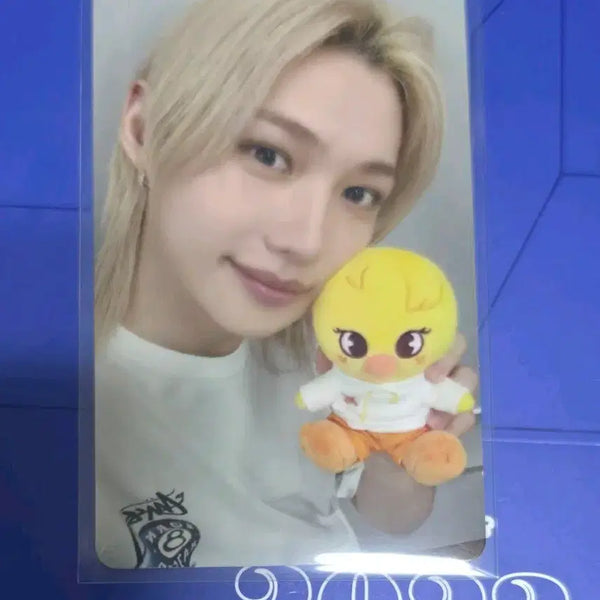 [BUNJANG] Stray Kids Felix Zootopia POB Photocard / 스트레이키즈 필릭스 주토피아 특전 포카
