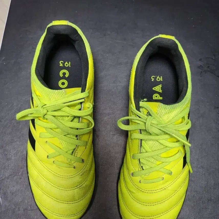 [BUNJANG] Adidas Copa 19.3 TF Soccer Cleats / 아디다스 코파 19.3 TF 축구화 230mm 상태매우좋음