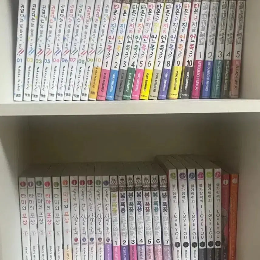 [BUNJANG] Sealed Shojo Manga Bundle Set (Various Titles) / 미개봉 순정만화책 일괄 판매 / 만화망가순정만화책타몬군지금어느쪽귀엽다는말들은적없어길고양이와늑대타마의포상숨막힐정도의사랑을줄게봄의폭풍과몬스터불가항력의iloveyou쓰레기기둥서방하나군
