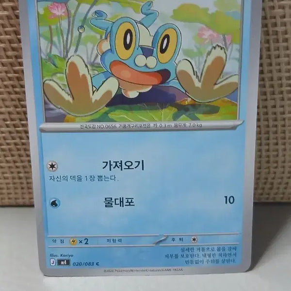 [BUNJANG] Pokemon Card - Mudkip / 포켓몬 카드 개구마르