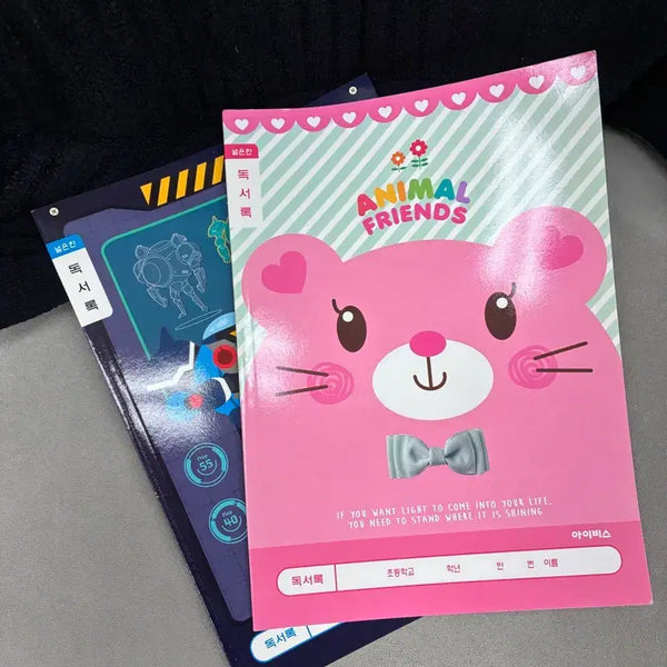 [BUNJANG] Ibis Reading Log Notebook (Wide/Narrow Ruled) / 아이비스 독서록 노트 넓은칸 / 좁은칸 있어요 10개 기준
