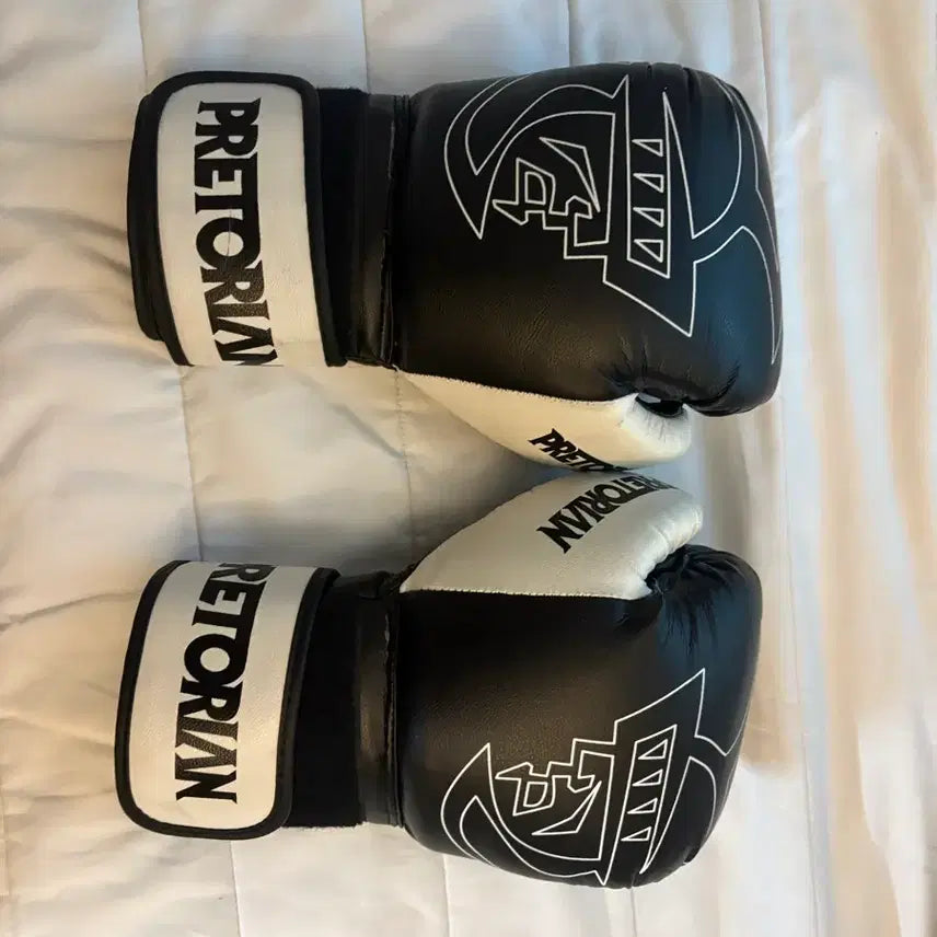 [BUNJANG] Pretorian Boxing Gloves 10oz / 프레토리안 복싱 글러브