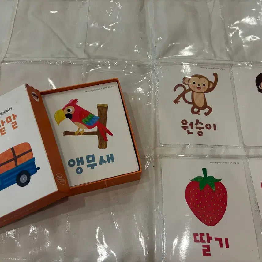 [BUNJANG] Hattung Say Card Multilingual Words + Hattung Chart Set / 하뚱세이카드 다국어낱말 + 하뚱차트 2개