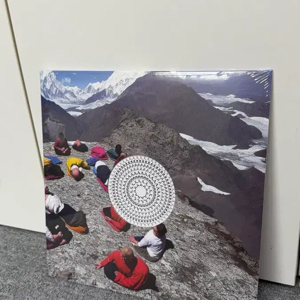 [BUNJANG] Hyukoh x Sunset Rollercoaster "Rollercoaster" AAA LP (Sealed) / 혁오x선셋 롤러코스터 AAA lp 미개봉
